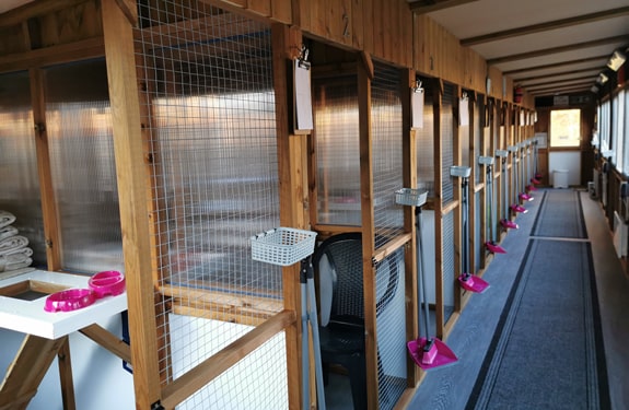 The Willows Cattery photo 1