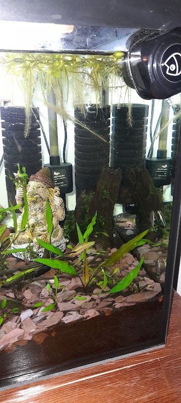 Delta Aquarium photo 2
