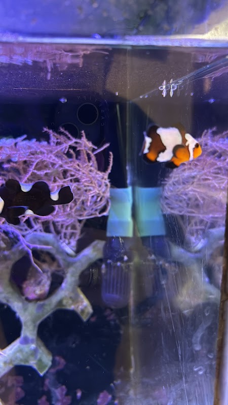 Delta Aquarium photo 1