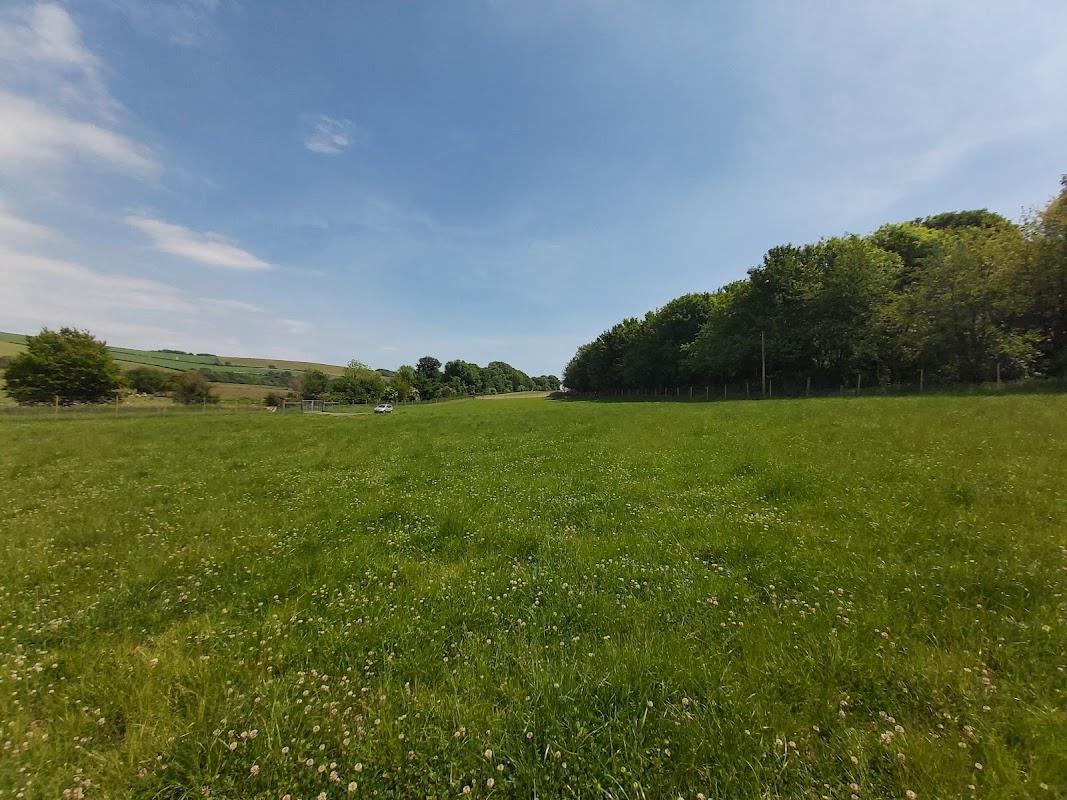 Coombes Field 4 Dogs — breeder photo