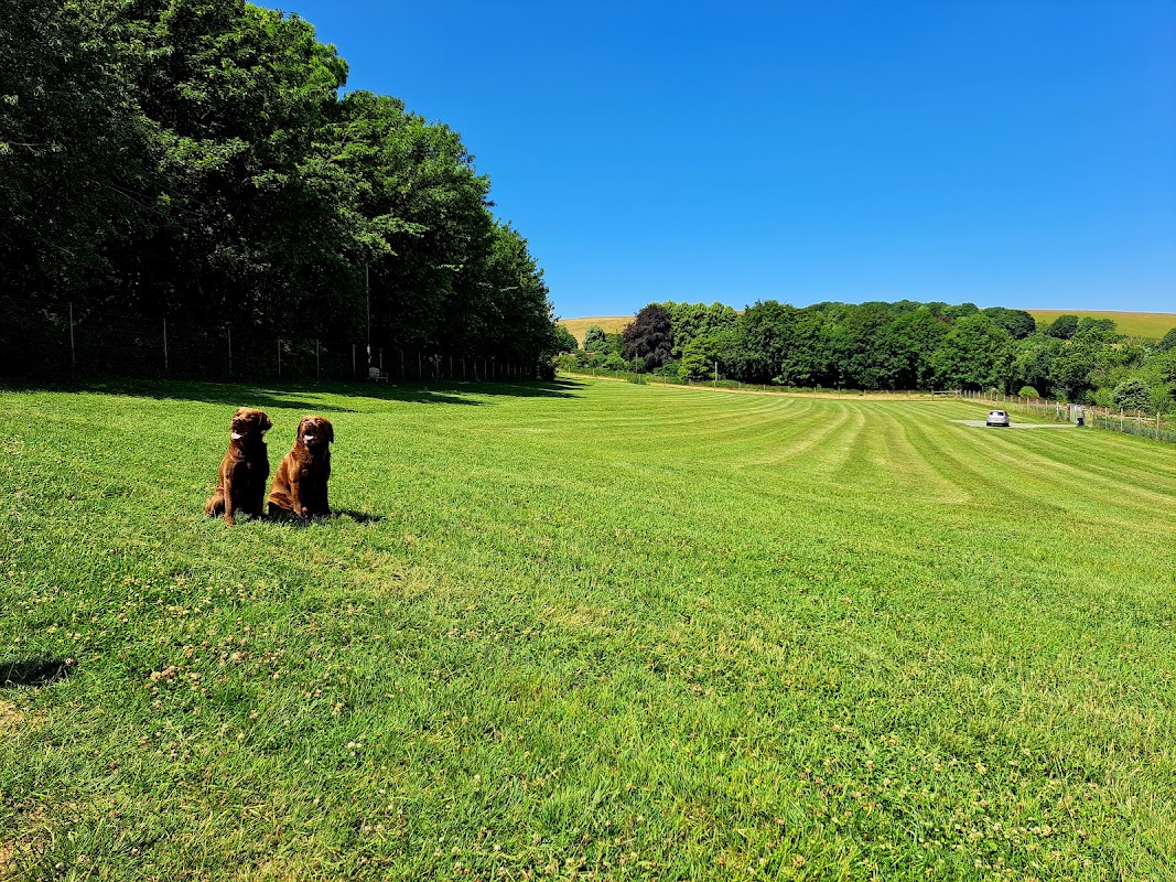 Coombes Field 4 Dogs photo 2