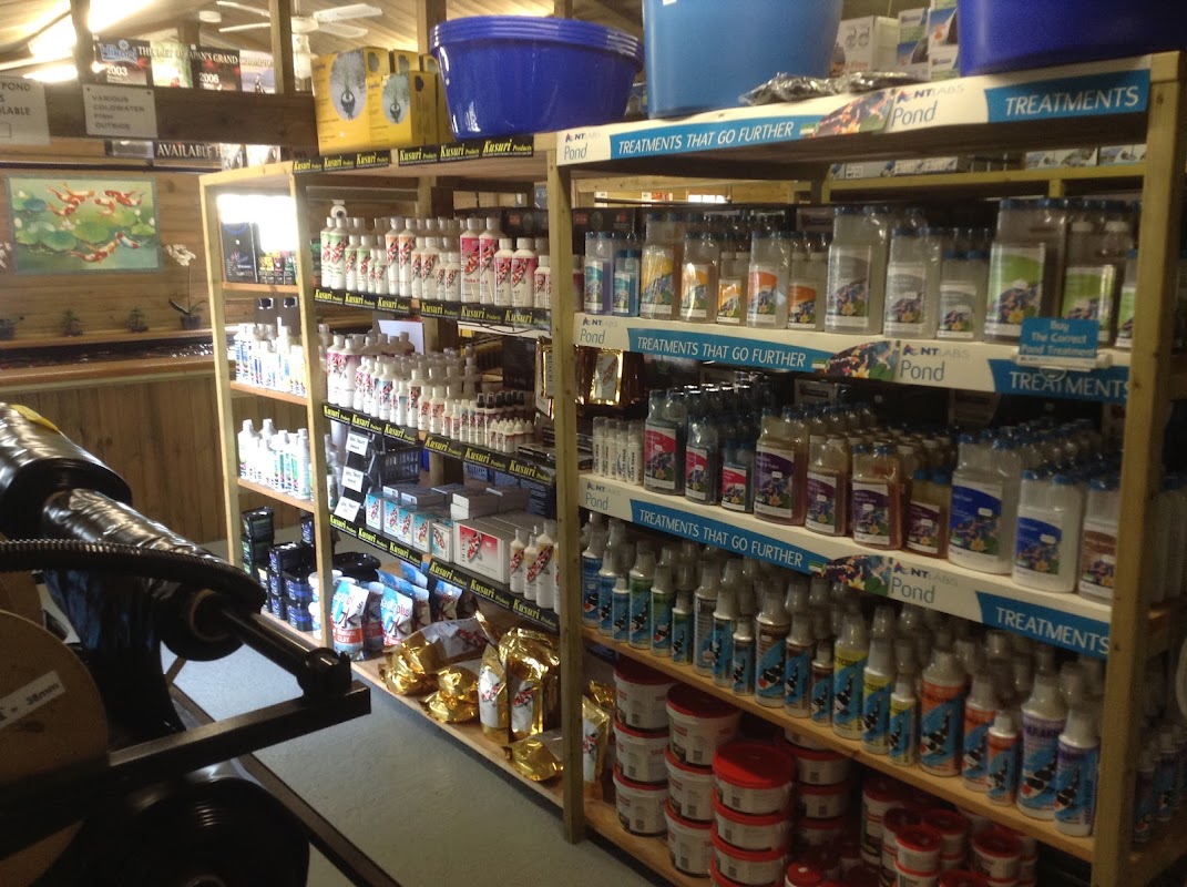 A19 Koi & Pond Supplies photo 1