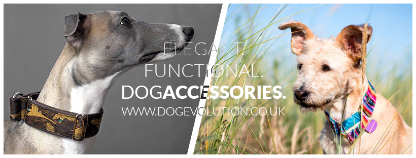 DOG EVOLUTION UK photo 3