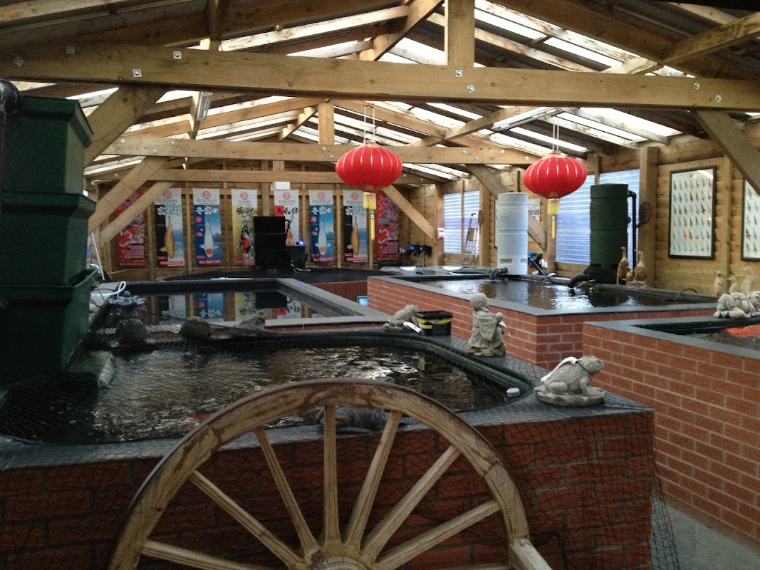 BLACKBURN HOUSE KOI