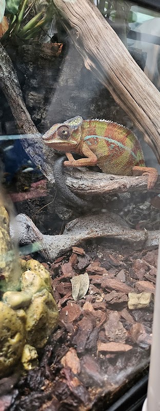 Molly's Exotic Pets & Aquarium photo 1