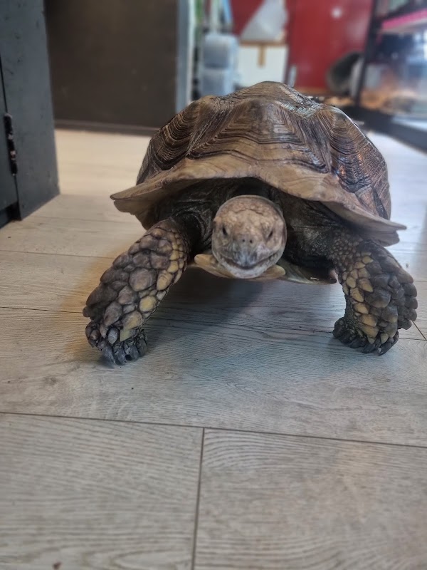 Molly's Exotic Pets & Aquarium photo 2