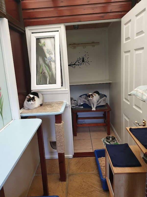 Westcott Cattery photo 1