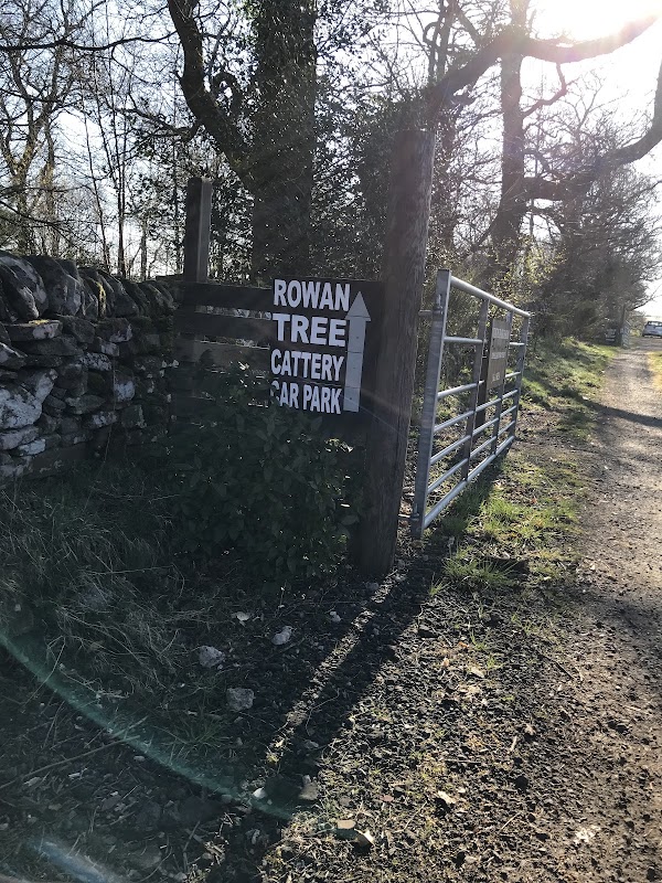 Rowan Tree Cattery