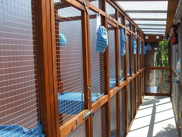 Pury End Cattery