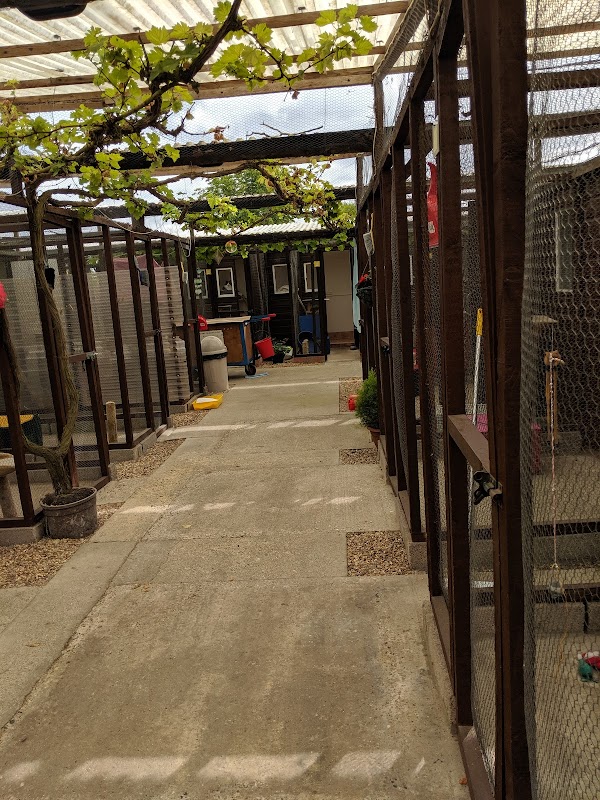 Country Cats Cattery photo 2