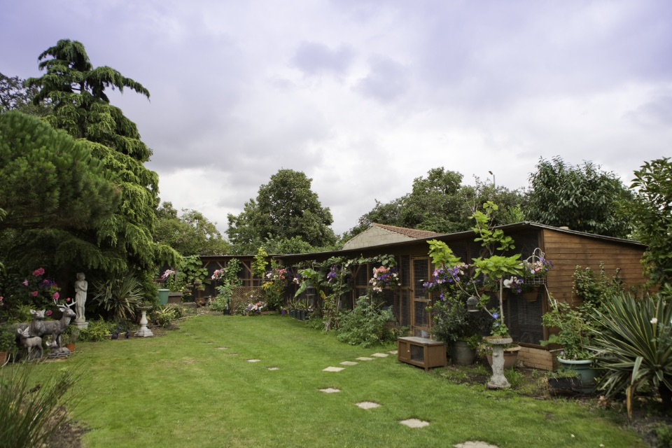 Creature Comforts Cattery photo 2