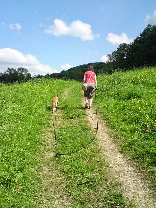 Natural Leader - Recommended Dog Listener Jennie Rudd photo 2