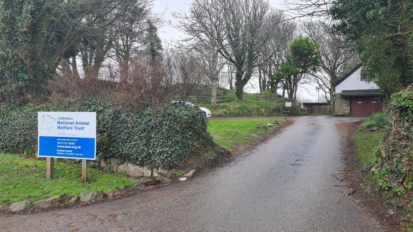 Wheal Alfred Kennels photo 2