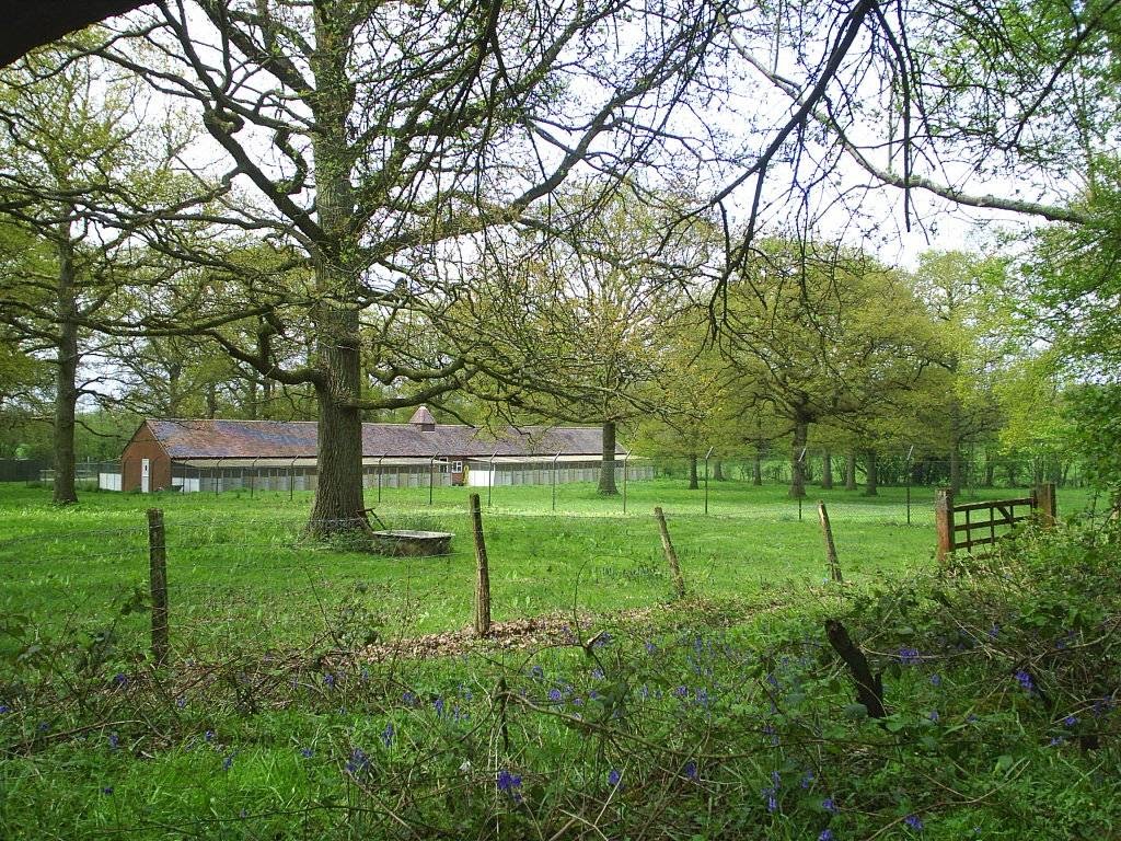 Old Oast Kennels — photo from Google Places
