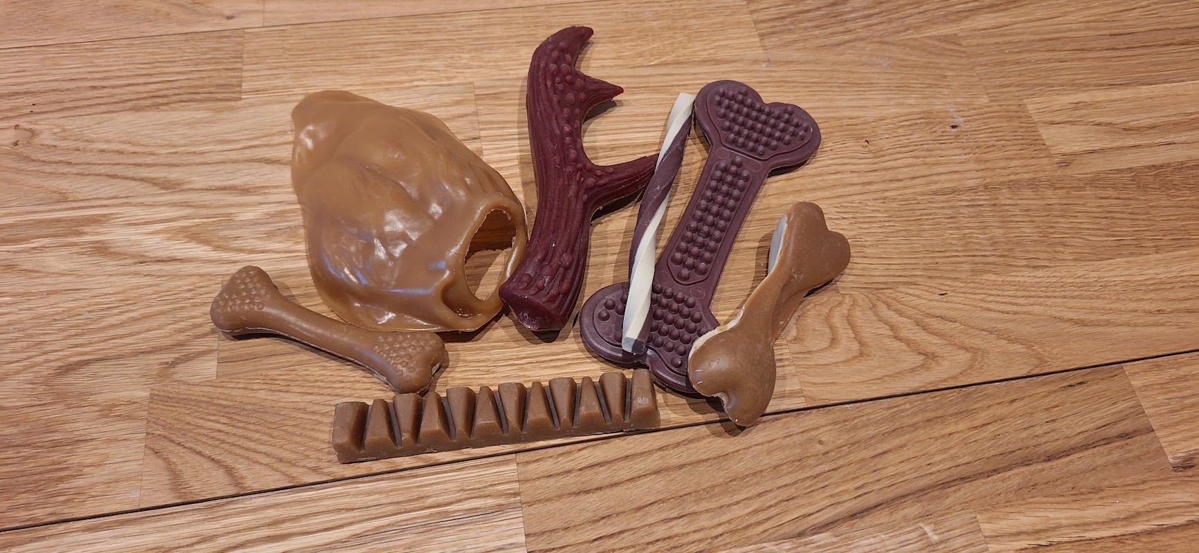 Hungry Hounds photo 3
