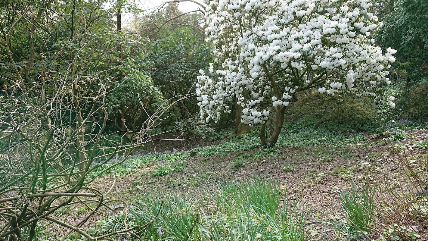 Keepers Kennels photo 4