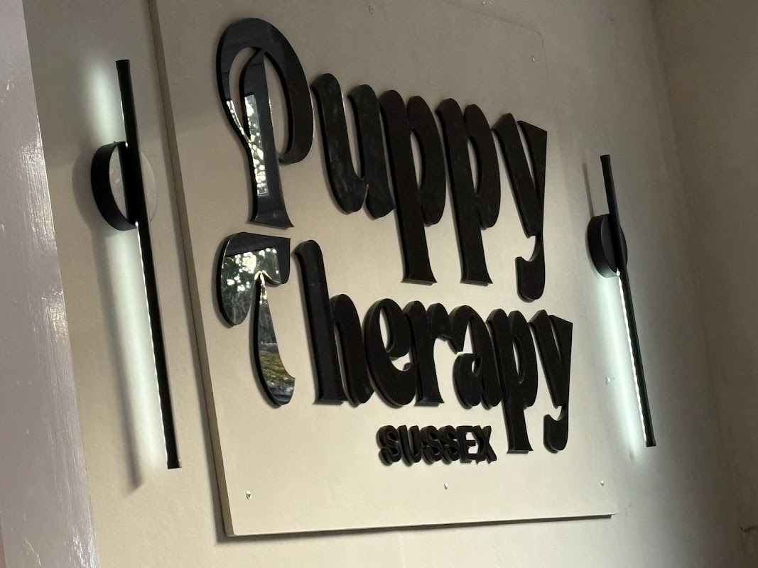 Puppy therapy sussex photo 5