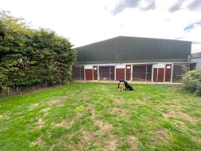 Penny Paws Kennels — photo from Google Places