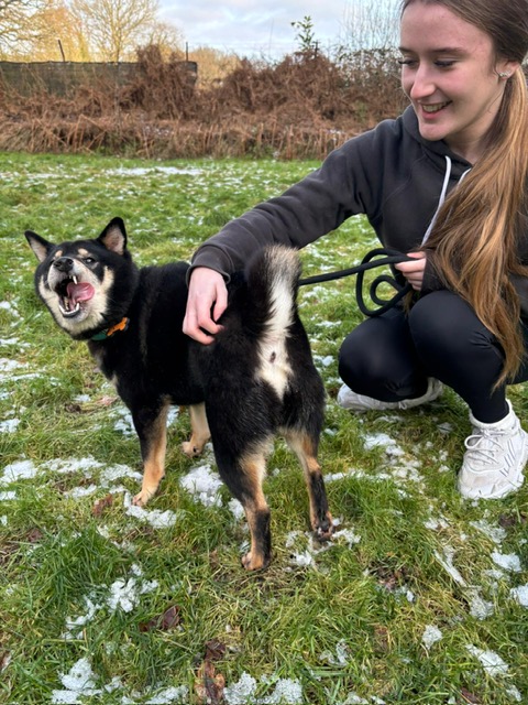 Tagzvondeni Kennels photo 1
