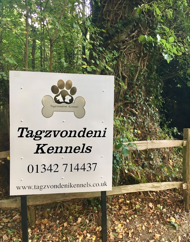 Tagzvondeni Kennels photo 4