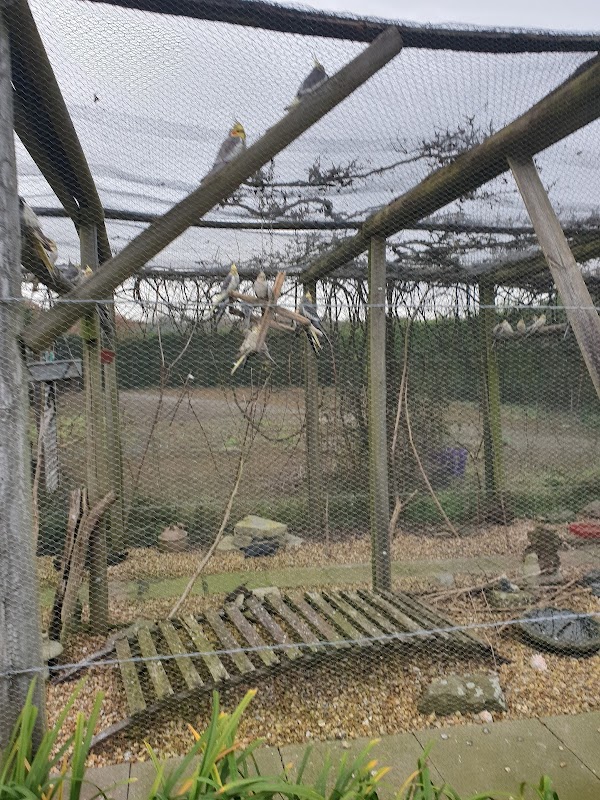 Burntwood Kennels photo 2