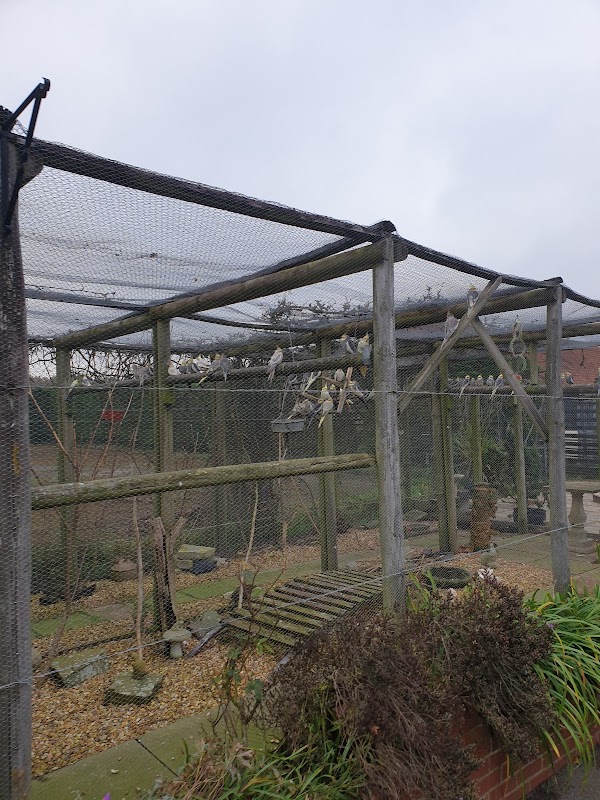 Burntwood Kennels photo 5