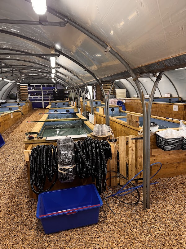 Wakeykoi & Aquatics Ltd