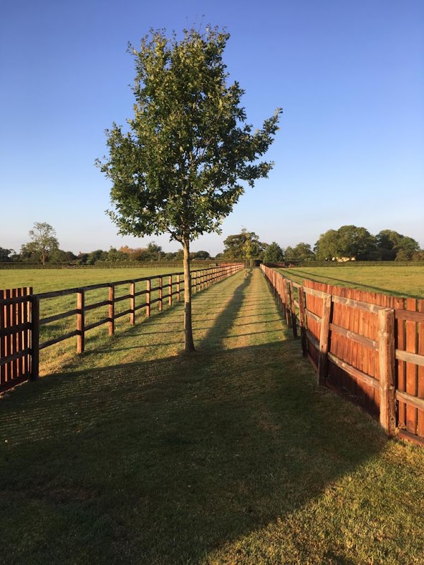 Ladyswood Stud photo 1