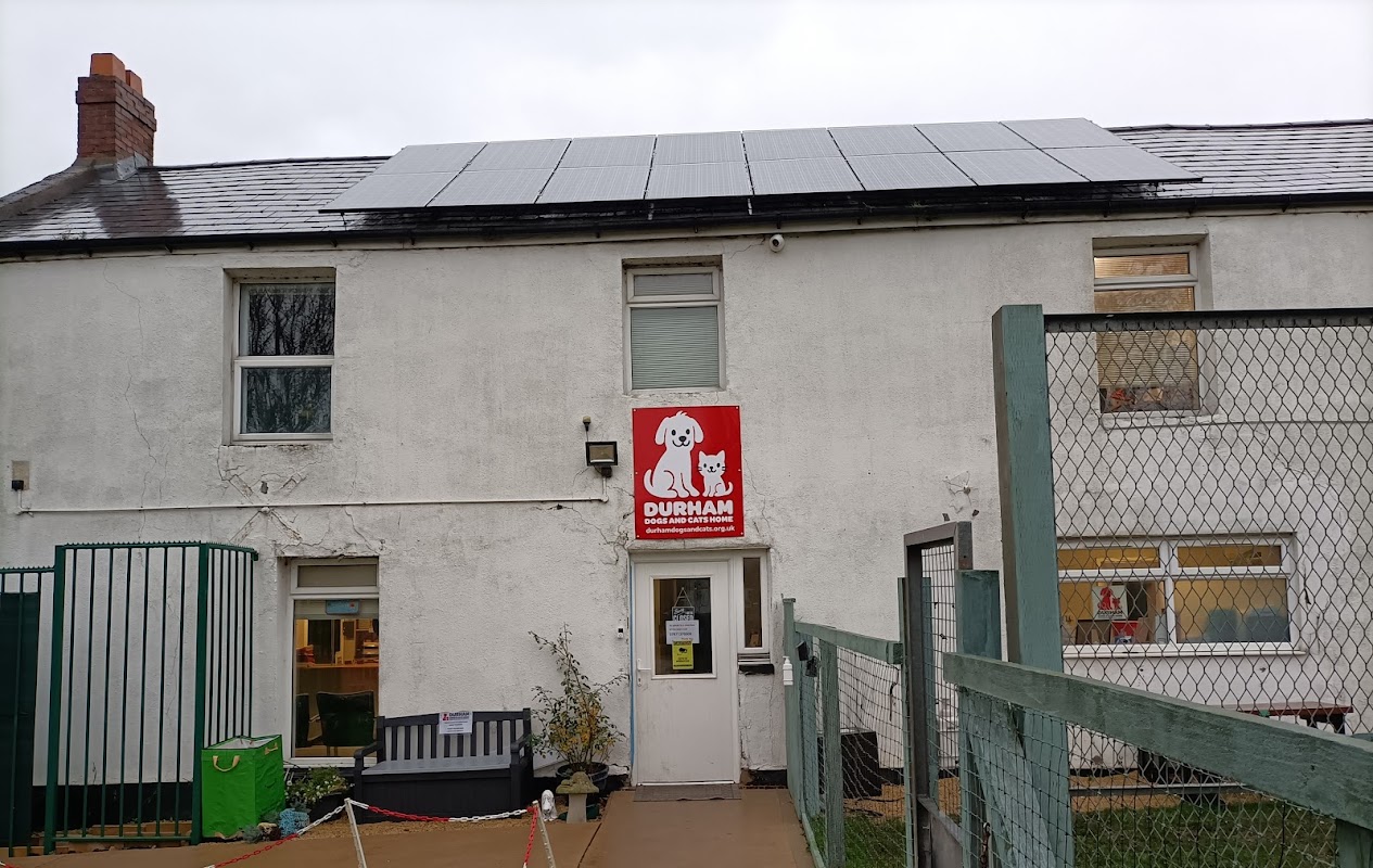 Durham Dogs & Cats Home — breeder photo