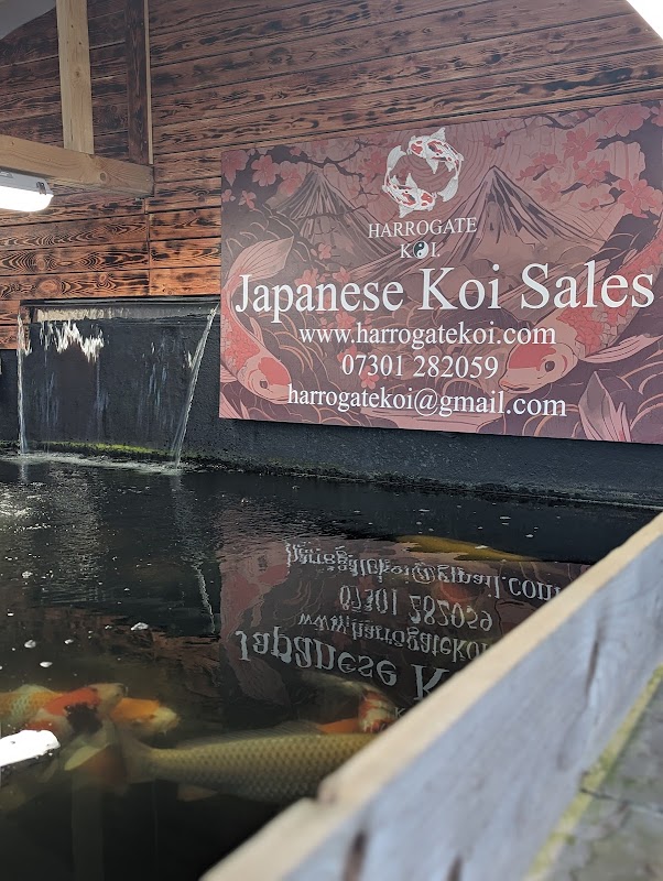 Harrogate Koi Ltd