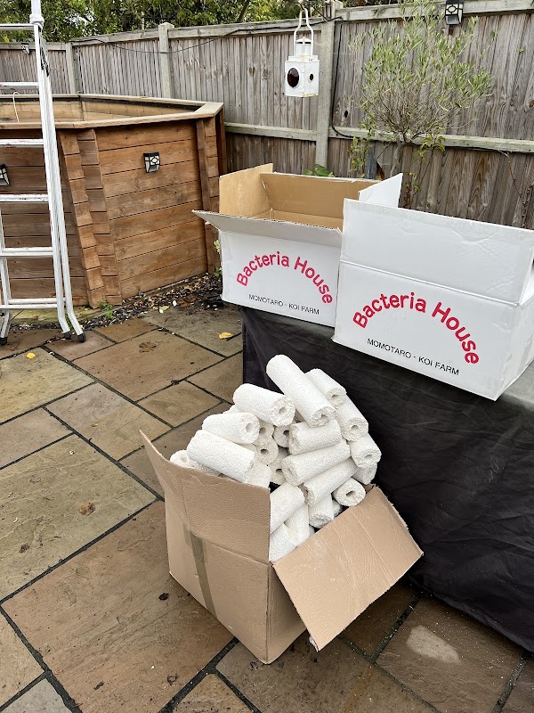 Koi Carp (UK) Ltd photo 2