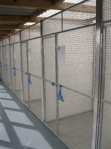 Meadowside Cattery photo 3