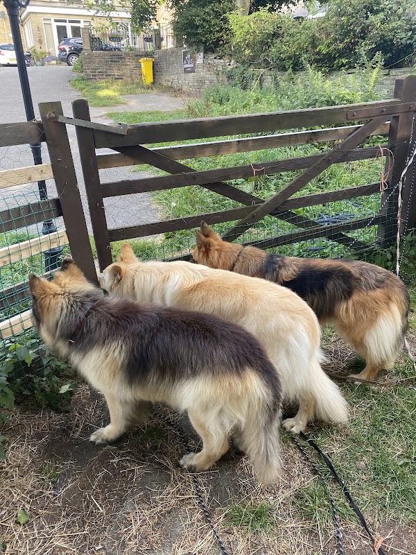Hegiin's Private Dog Paddocks photo 1