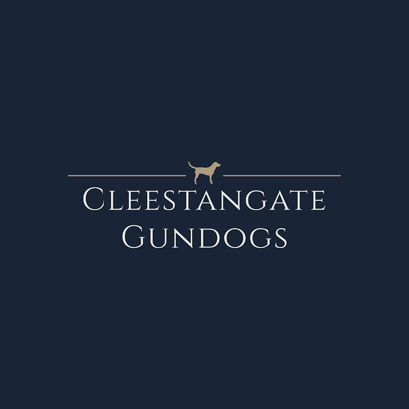 Cleestangate Gundogs photo 1