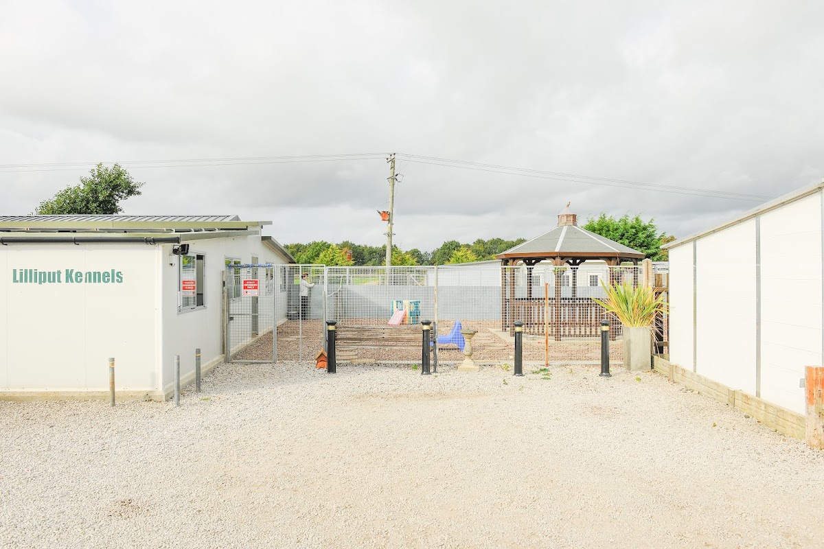 Lilliput Kennels photo 2