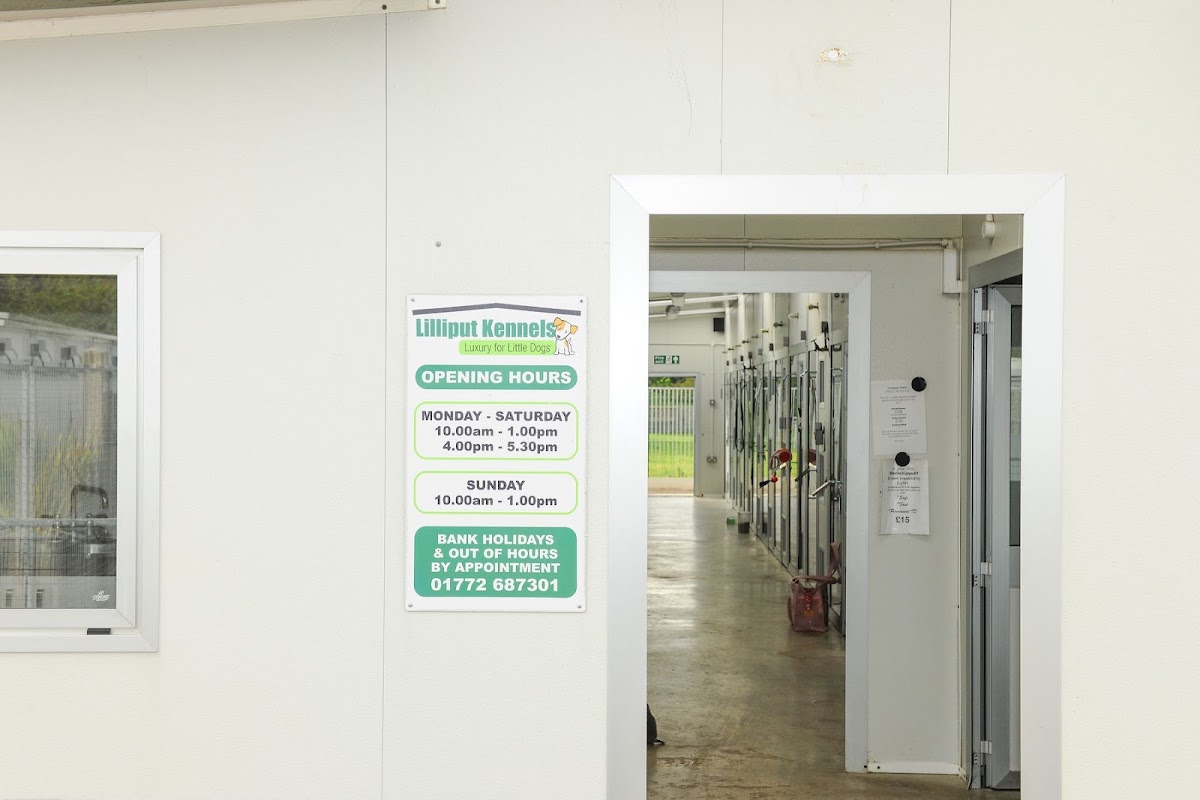 Lilliput Kennels photo 3