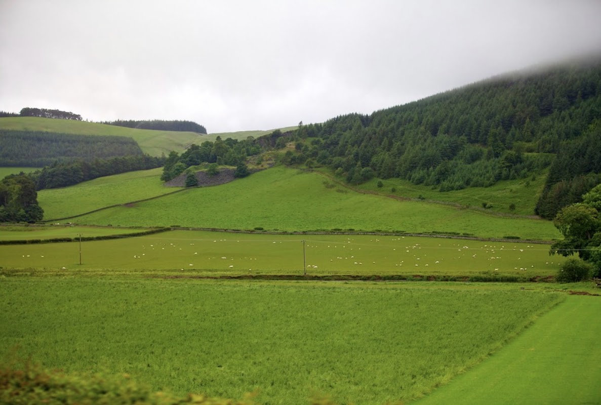 The Lake District Sheepdog Experience photo 1