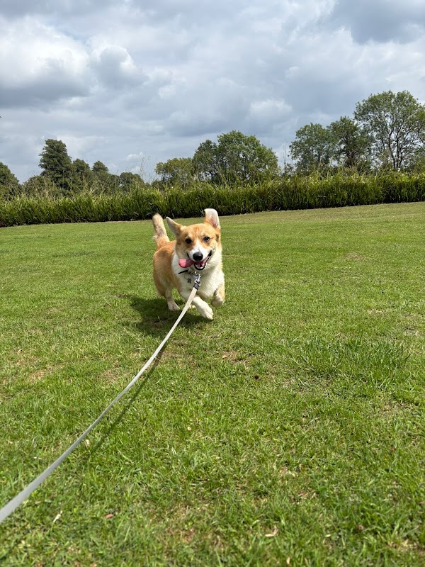 Crossways Kennels photo 3