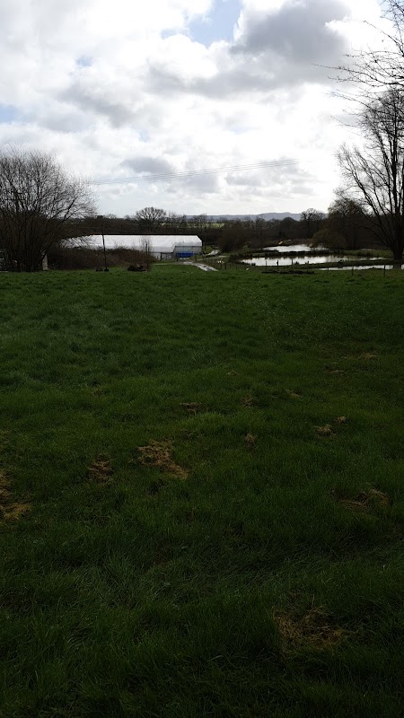Zeals Fish Farm photo 2