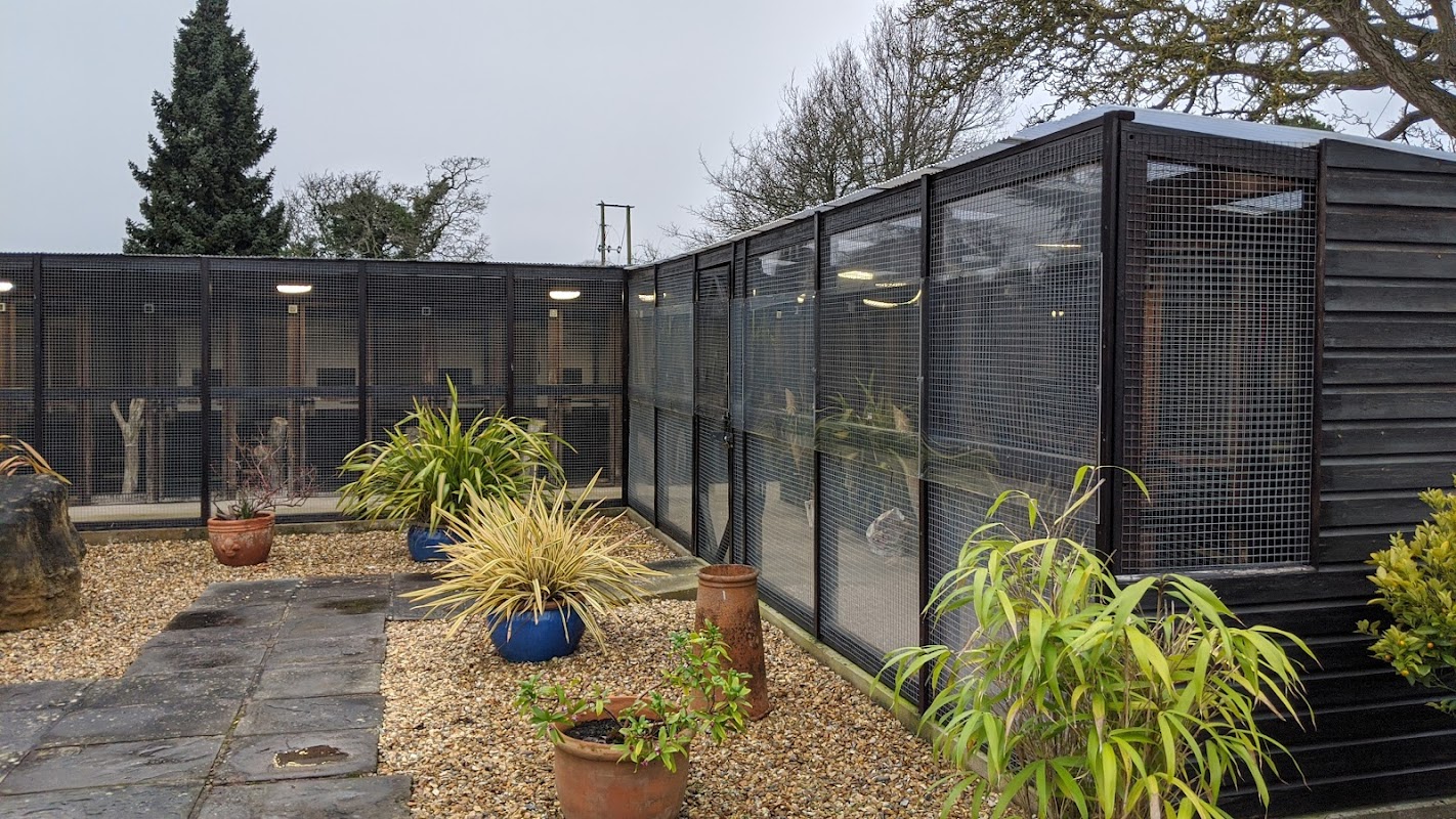 New Passage Cat Kennels photo 3