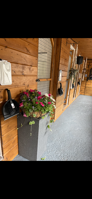 Caberfeidh Cattery photo 3