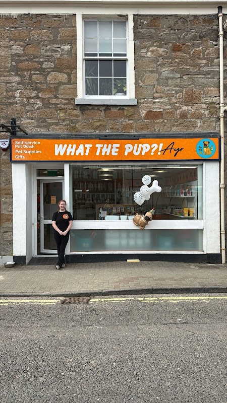 What The Pup Ayr