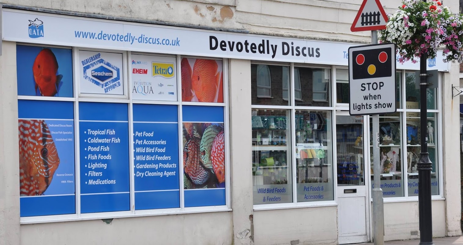 Devotedly Discus