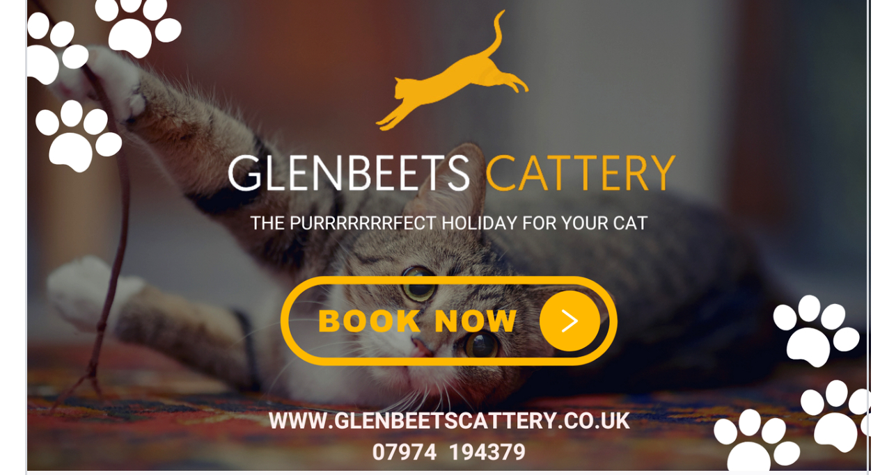 Glenbeets Cattery