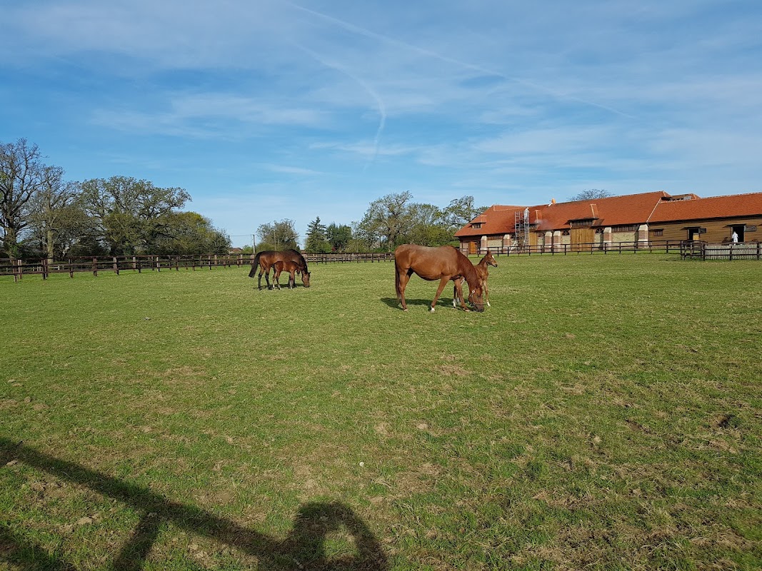 Normandie Stud photo 1