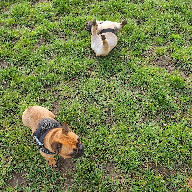 Oak Farm Dog Run