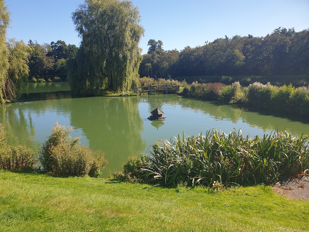 Hawkhurst Fish Farm photo 1