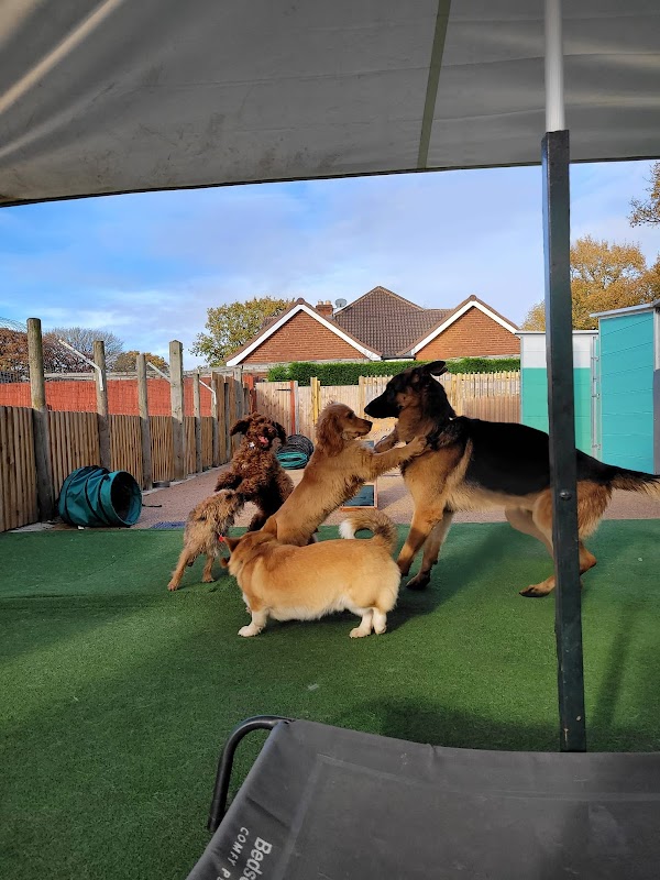 Hylton Hound Hotel Kennels photo 2