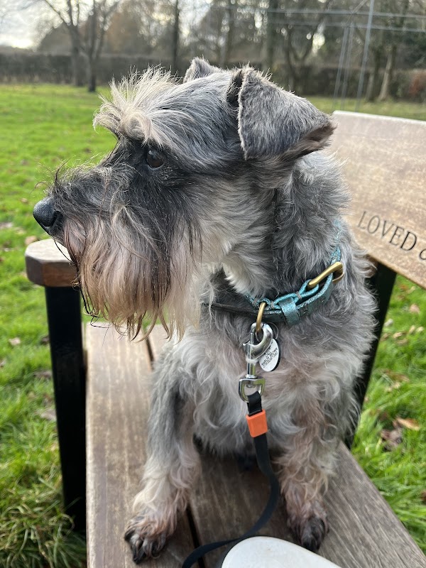 Horizon Kennels