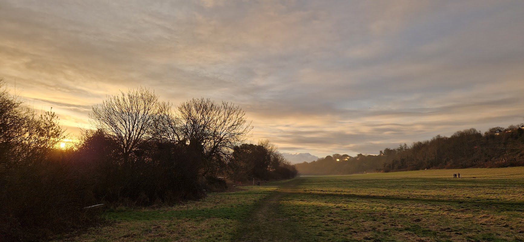 Findon Dog Field photo 3